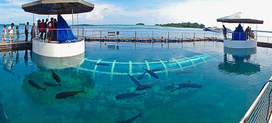 Pulau Putri Mitra Jasa Utama